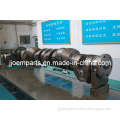 Diesel Engine Forged/Forging Crankshafts/Crank Shafts